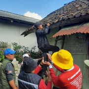 WhatsApp Image 2025-10-12 at 09.08.32